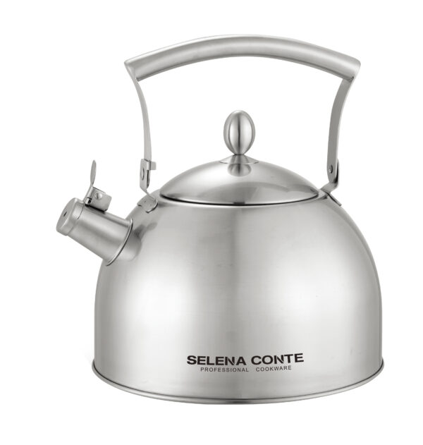 Чайник MODERNO